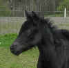 Pict0144.jpg (456628 byte)